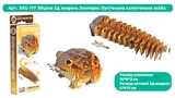 Збірна 3Д модель Eugy Зоопарк Пустельна лопатонога жаба (XEG-117) - Pampik - 2