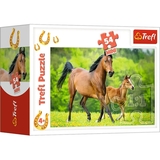 Пазлы Trefl Семья Гарниконики Міні 54 элементов - Pampik