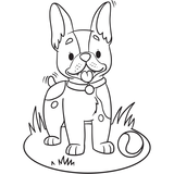 Чарівні фарби. Песики й котики. Vivat - Pampik - 4