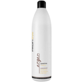 Шампунь ProfiStyle Argan Питательный с аргановым маслом для сухих и ломких волос, 1 л - Pampik