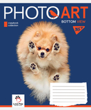 Набір зошитів Yes Photoart А5 в лінійку 24 аркуші 20 шт. (66395) - Pampik