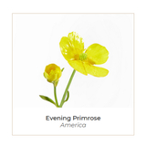 Міцелярна вода Onagrine очищувальна 200 мл (P01510) - Pampik - 3