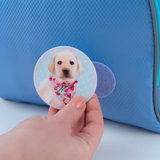 Бейдж на липучці Kite Studio Pets SP24-3011-2 - Pampik - 6