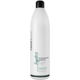 Безсульфатний шампунь ProfiStyle Hydro Зволожуючий для сухого волосся, 1 л - Pampik