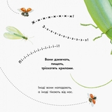 Книга Ранок Знайомі комахи - Наталія Чуб (S934002У) - Pampik - 2