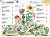Велика книга квітів Ранок - Ювал Зоммер (N1432005У) - Pampik - 3