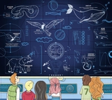 Енциклопедія з віконцями Ранок Скелети і кістки - Булгакова Ганна (N969002У) - Pampik - 2