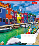 Набор тетрадей 1 Вересня Life in colors А5 в клетку, 36 листов, 15 шт. (767326) - Pampik - 6