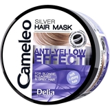 Маска для волос Delia Cosmetic Cameleo Silver Anti-Yellow Effect 200 мл - Pampik