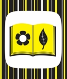 Контрастна книжка для немовляти. Ку-ку-сі - Поліна Кривцова (А755014У) - Pampik - 4