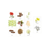 Крем Onagrine White Perfection проти пігментації з SPF15 денний 40 мл (P01530) - Pampik - 3