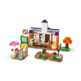 Конструктор LEGO Animal Crossing Концерт К.К. на площі, 550 деталей (77052) - Pampik - 7