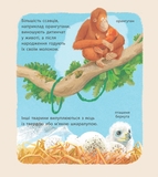 Книга Ранок Дивовижні дитинчата тварин - Кріс Пакхем (С884001У) - Pampik - 3