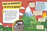 Енциклопедія юних розумників Ранок Допитливим сюди. ДОВКОЛАПИТАНЬ - Ненсі Дікман (НЕ1745007У) - Pampik - 8