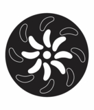 Контрастна книжка для немовляти. Ростунчики (А755016У) - Pampik - 6