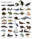 1000 назв тварин - Джесіка Грінвел, Ніккі Дайсон (Z104006У) - Pampik - 3