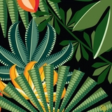 Книга Ранок Команда джунглів - Мадлєн Роджерс (С885009У) - Pampik - 3