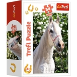 Пазлы Trefl Белейконик Гарниконики Міні 54 элементов - Pampik