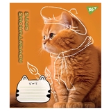 Набір зошитів Yes Adventurous cats А5 в лінійку 24 аркуші 20 шт. (66656) - Pampik - 5