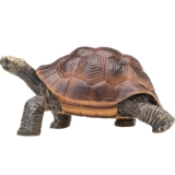 Ігрова фігурка Mojo Гігантська черепаха (387259) - Pampik - 2