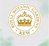 Шампунь Herbal Essences Аромат апельсину, 350 мл - Pampik - 3