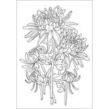 Розмальовка антистрес Santi Флористика 12 сторінок (743058) - Pampik - 2