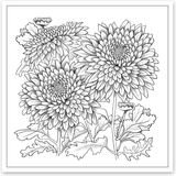 Розмальовка антистрес Santi Квітотерапія 20 сторінок (742921) - Pampik - 2