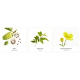 Флюїд Onagrine Visible Pure матуючий денний 40 мл (P01524) - Pampik - 4