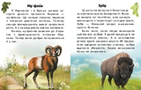 Книга Ранок Читаю про Україну. Тварини гір - Юлія Каспарова (С366021У) - Pampik - 3