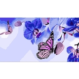 Набір для розпису по номерах Strateg Метелики на орхідеях 50х25 см (WW200) - Pampik