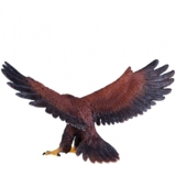 Ігрова фігурка Mojo Беркут золотий орел (381051) - Pampik - 3