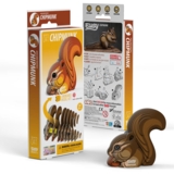 Збірна 3Д модель Eugy Зоопарк Бурундук (XEG-041) - Pampik - 5