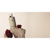 Smart лосьон для тела Sister's Aroma Гранат 100 мл - Pampik - 3