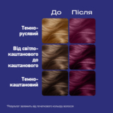 Стійка фарба для волосся Schwarzkopf Live Colour + Lift L76 Ultra Violet - Pampik - 3