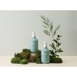 Шампунь для волос Aekyung Веган Цитрус Альпист, 730 мл - Pampik - 2