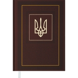 Ежедневник датированный Buromax Nation 2024 A5 коричневый (BM.2199-25) - Pampik