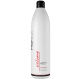Шампунь для об'єму волосся ProfiStyle Volume Shampoo, 1 л - Pampik