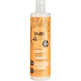 Шампунь Botanic Leaf Глибоке відновлення та живлення для пошкодженого волосся 400 мл - Pampik