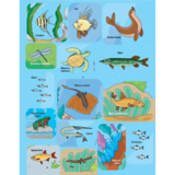 Наліпки для допитливих. Тваринки під водою - Ольга Шевченко (1475279) - Pampik - 8