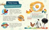 Книга Ранок Чомусики. Тварини - Ганна Булгакова (Л875008У) - Pampik - 3