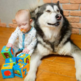 Набір м'яких кубиків Масік Ферма (МС 090601-02) - Pampik - 3