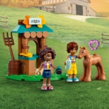 Конструктор LEGO Friends Будиночок Отом, 853 деталей (41730) - Pampik - 7