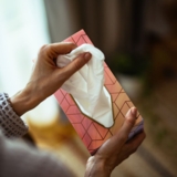 Серветки Zewa Softis чотиришарові, 80 шт. - Pampik - 15