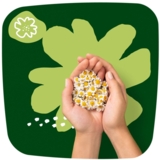 Прокладки гігієнічні Naturella Ultra Night Camomile, 7 шт. - Pampik - 7