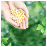 Прокладки гігієнічні Naturella Ultra Normal Plus, 18 шт. - Pampik - 5