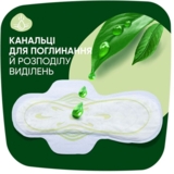 Гігієнічні прокладки Naturella Classic Night, 14 шт. - Pampik - 3