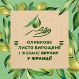 Гель для душа Le Petit Marseillais® БІО Листя Оливи, 250 мл - Pampik - 3