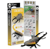 Збірна 3Д модель Eugy Зоопарк Жук-олень (XEG-114) - Pampik - 9