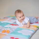 Килимок для розвитку Taf Toys Мої захоплення (12175) - Pampik - 2