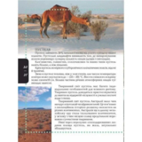 Енциклопедія для допитливих Талант Тварини - Жабська Т. З. - Pampik - 7